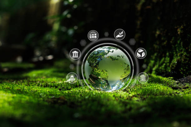 Conseil stratégie RSE CSRD industrie